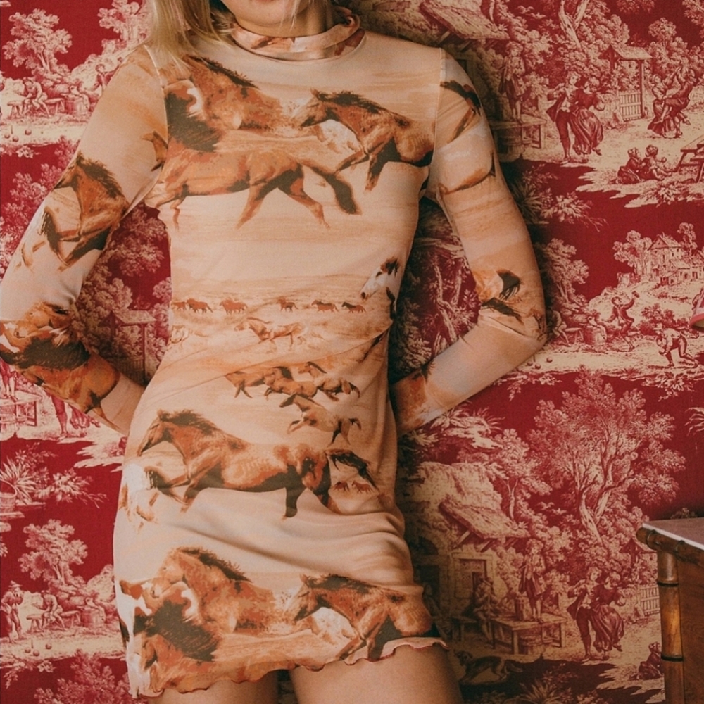 Urban Outfitters mesh horse print tunic dress top